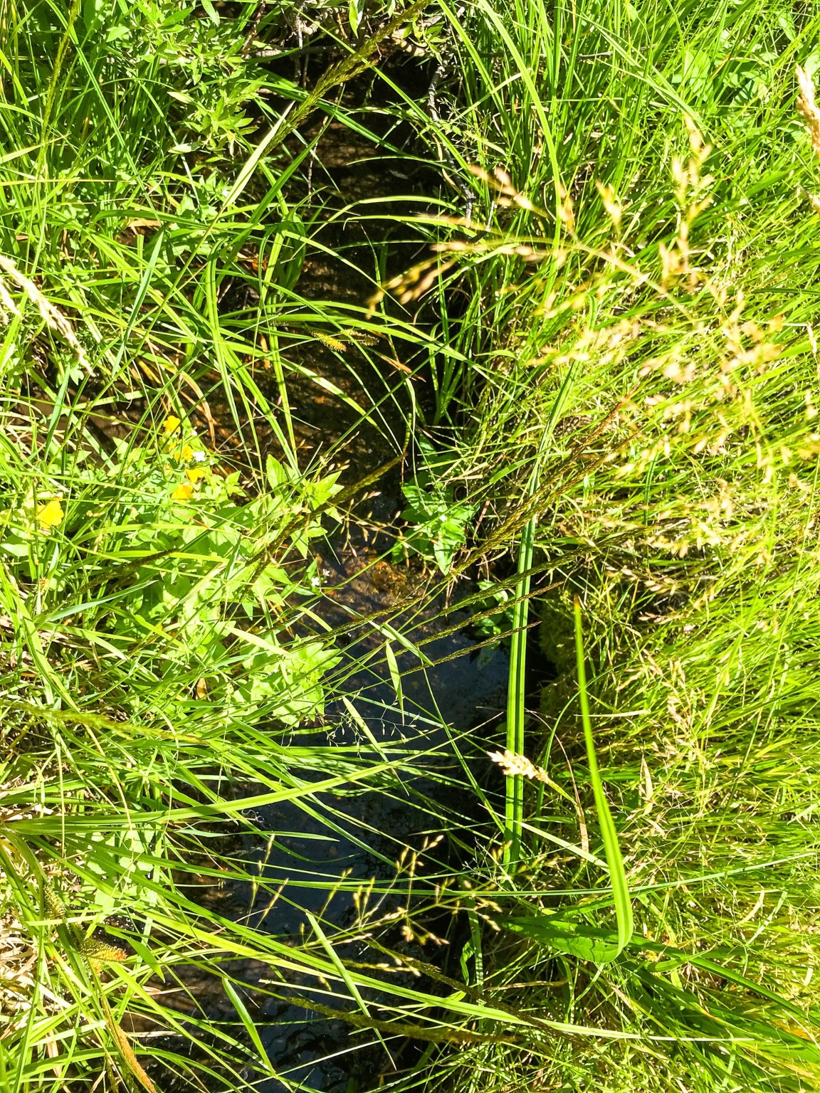 TBD Upper Deep Creek