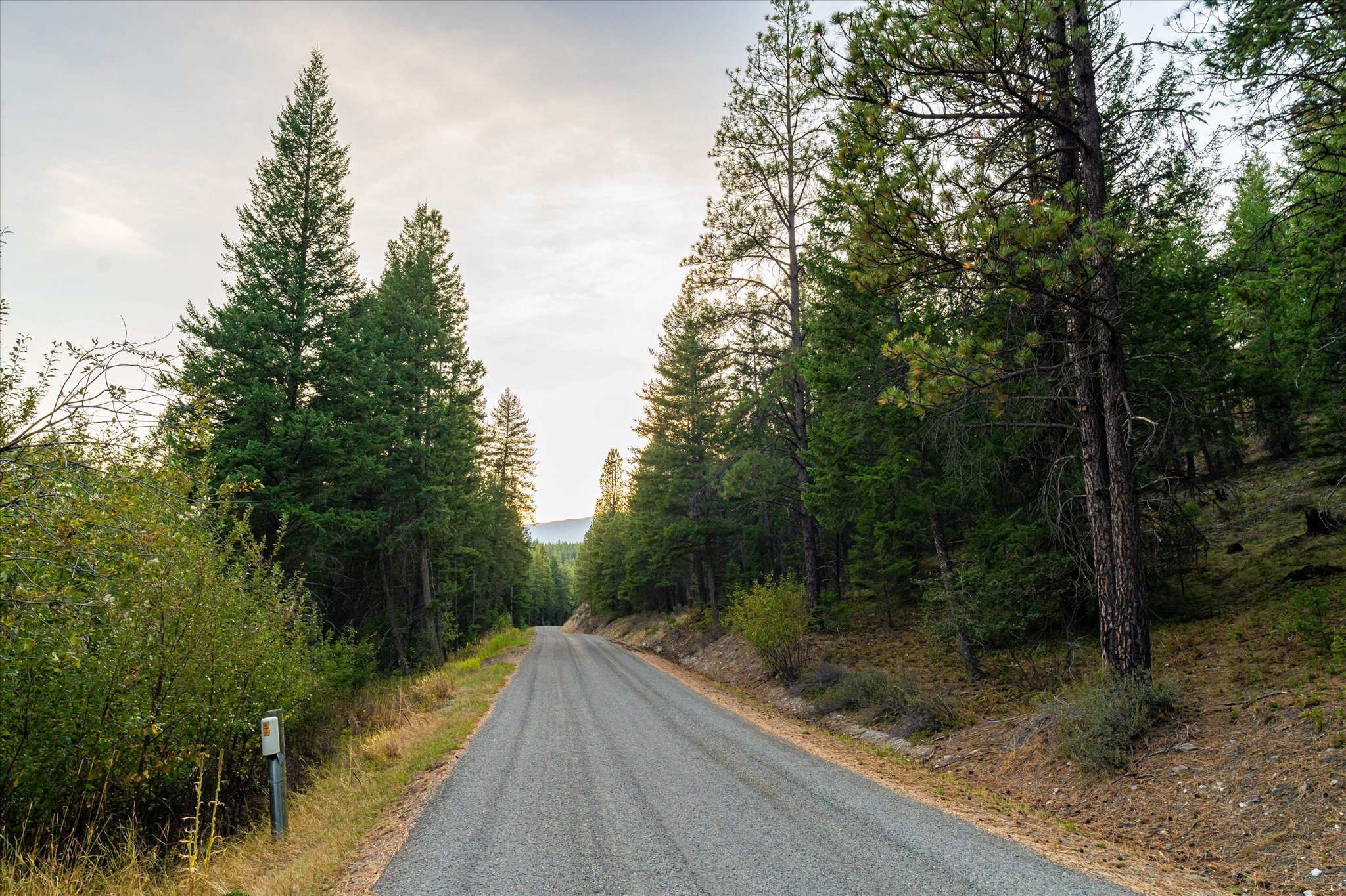 NHN Black Lake Road