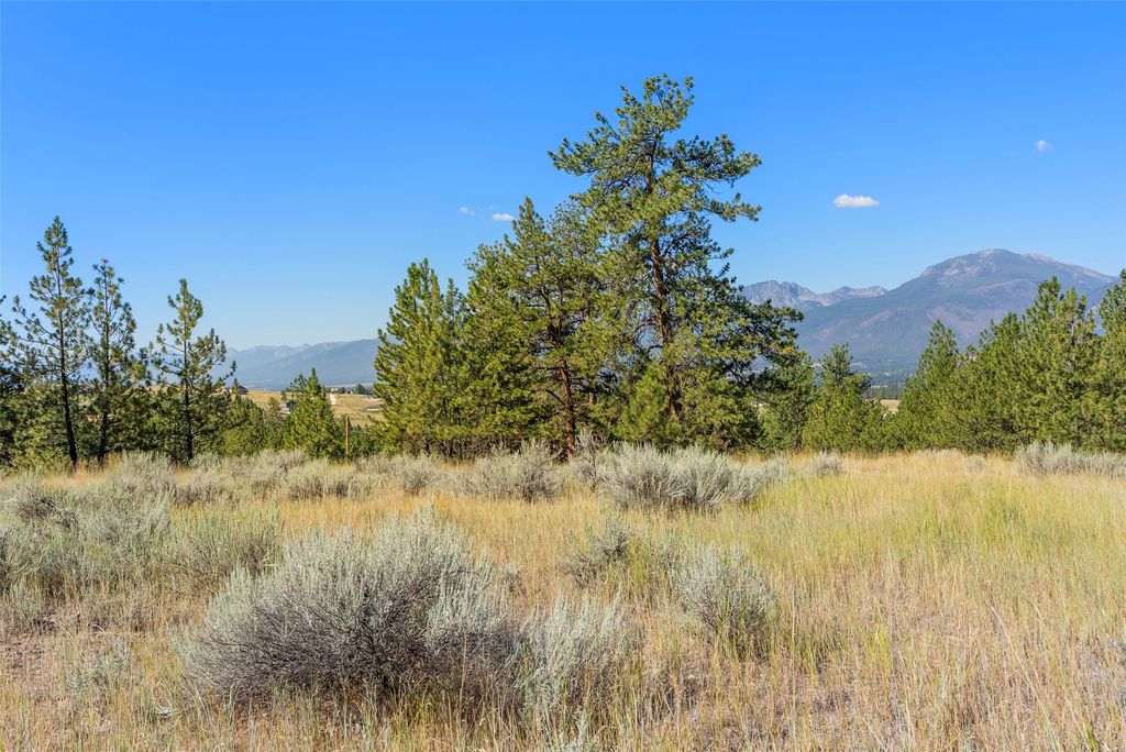 Photo of 842 Sandhill Loop, Florence, MT 59833 (MLS # 30055808)