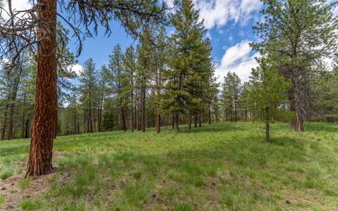 Tiny photo for 3185 Hubbart Dam Road, Marion, MT 59925 (MLS # 30070894)