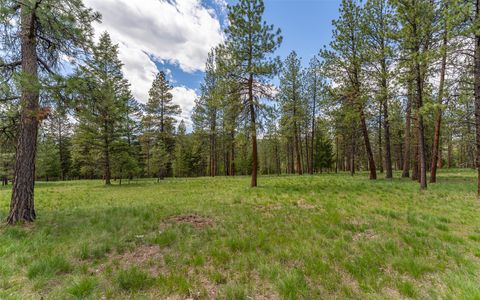 Tiny photo for 3185 Hubbart Dam Road, Marion, MT 59925 (MLS # 30070894)