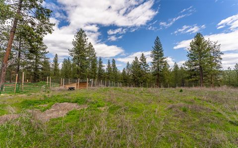 Tiny photo for 3185 Hubbart Dam Road, Marion, MT 59925 (MLS # 30070894)