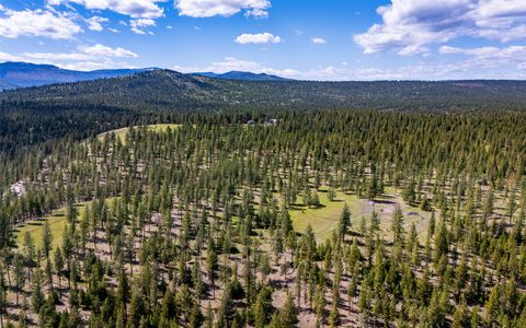 Tiny photo for 3185 Hubbart Dam Road, Marion, MT 59925 (MLS # 30070894)