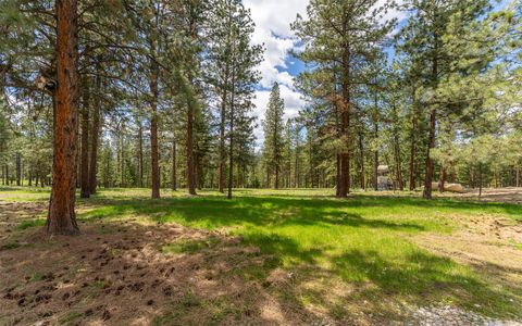 Tiny photo for 3185 Hubbart Dam Road, Marion, MT 59925 (MLS # 30070894)