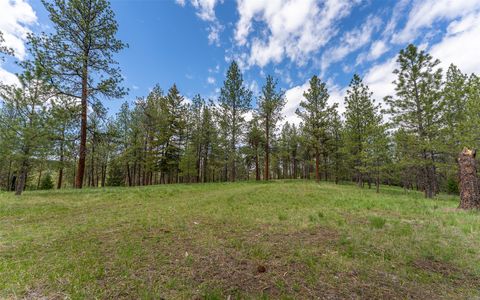 Tiny photo for 3185 Hubbart Dam Road, Marion, MT 59925 (MLS # 30070894)