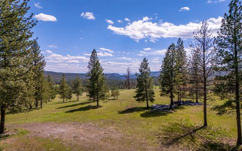 Tiny photo for 3185 Hubbart Dam Road, Marion, MT 59925 (MLS # 30070894)