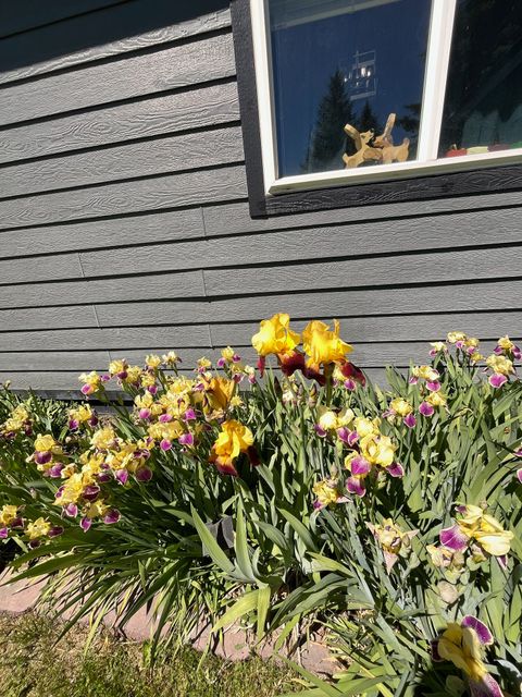 Tiny photo for 4050 Remington Street, East Helena, MT 59635 (MLS # 30070776)
