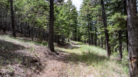 Tiny photo for 297 S Hills Road, Clancy, MT 59634 (MLS # 30073602)
