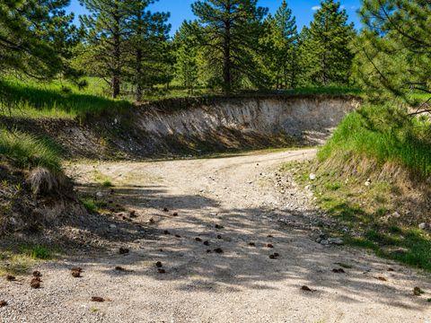 Tiny photo for 28711 Early Dawn Drive, Big Arm, MT 59910 (MLS # 30071160)