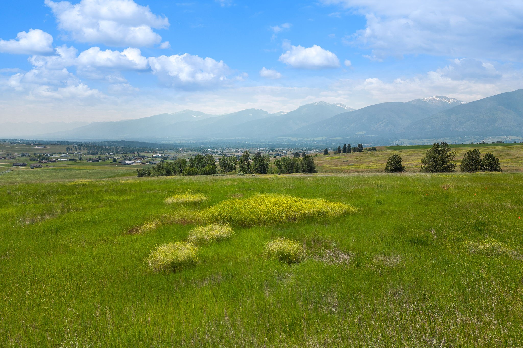 1131 Aspen Ridge Trail