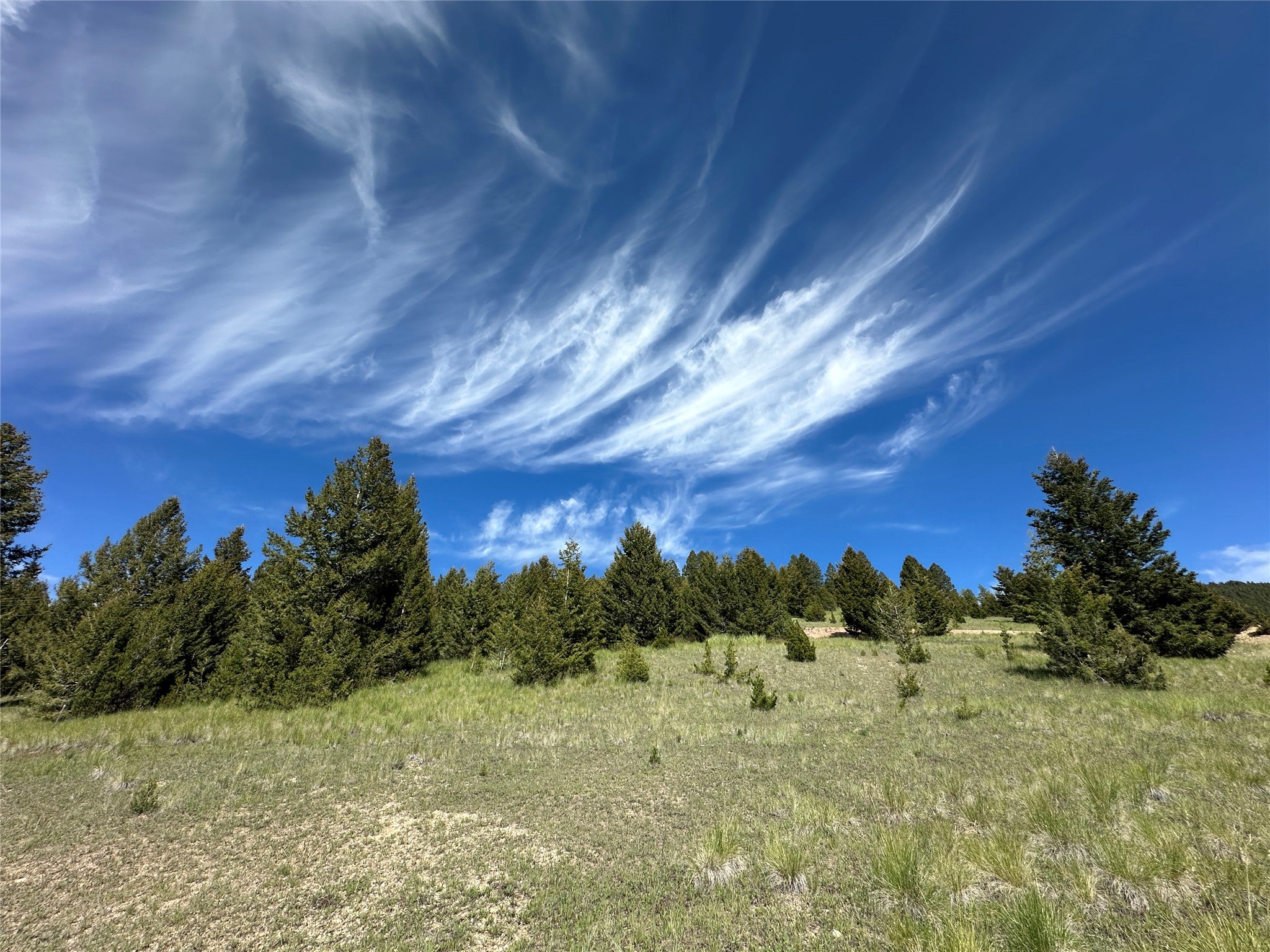 Photo 1 of 20 — 15 Power Plant Road, Philipsburg, MT 59858