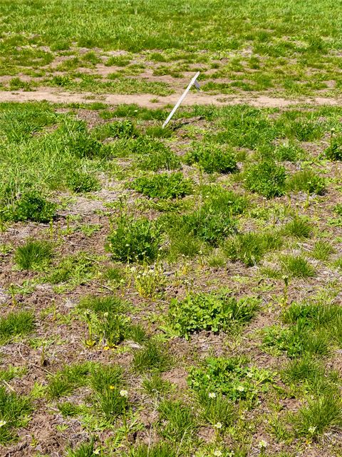 Tiny photo for 4544 Store Lane, Stevensville, MT 59870 (MLS # 30069216)