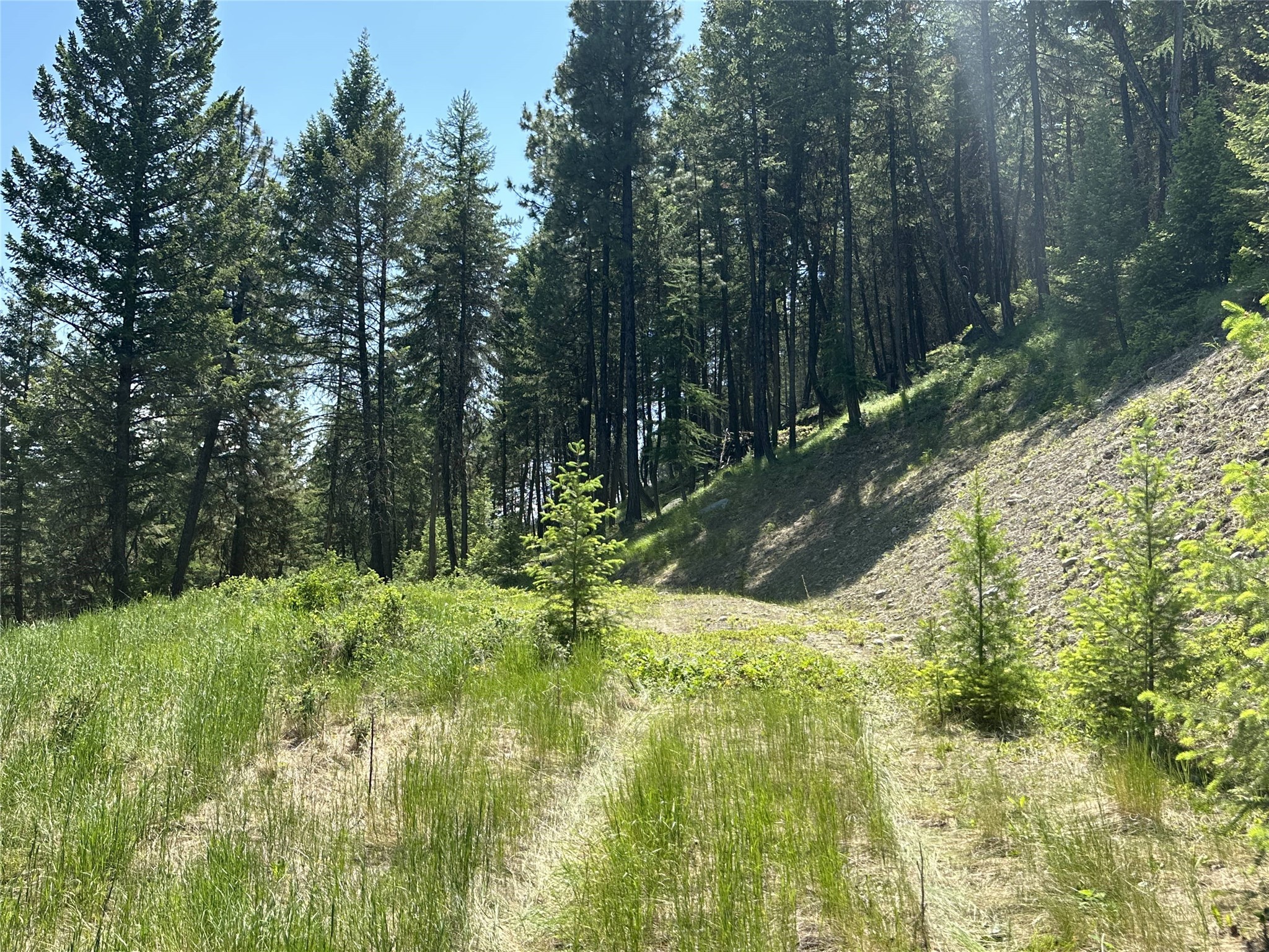 Lot 30 Hillandale Trail