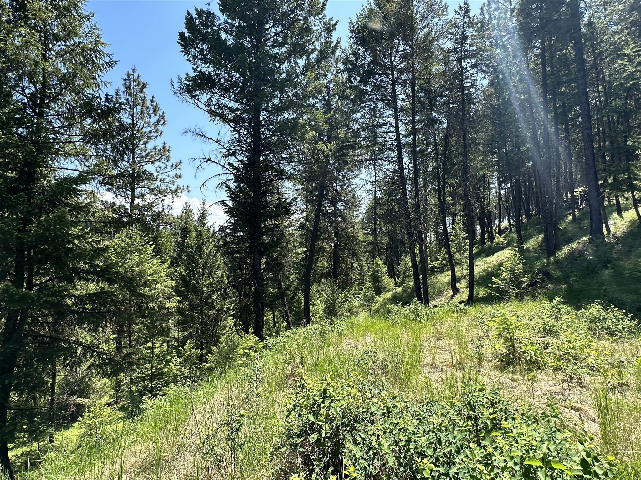 Lot 30 Hillandale Trail