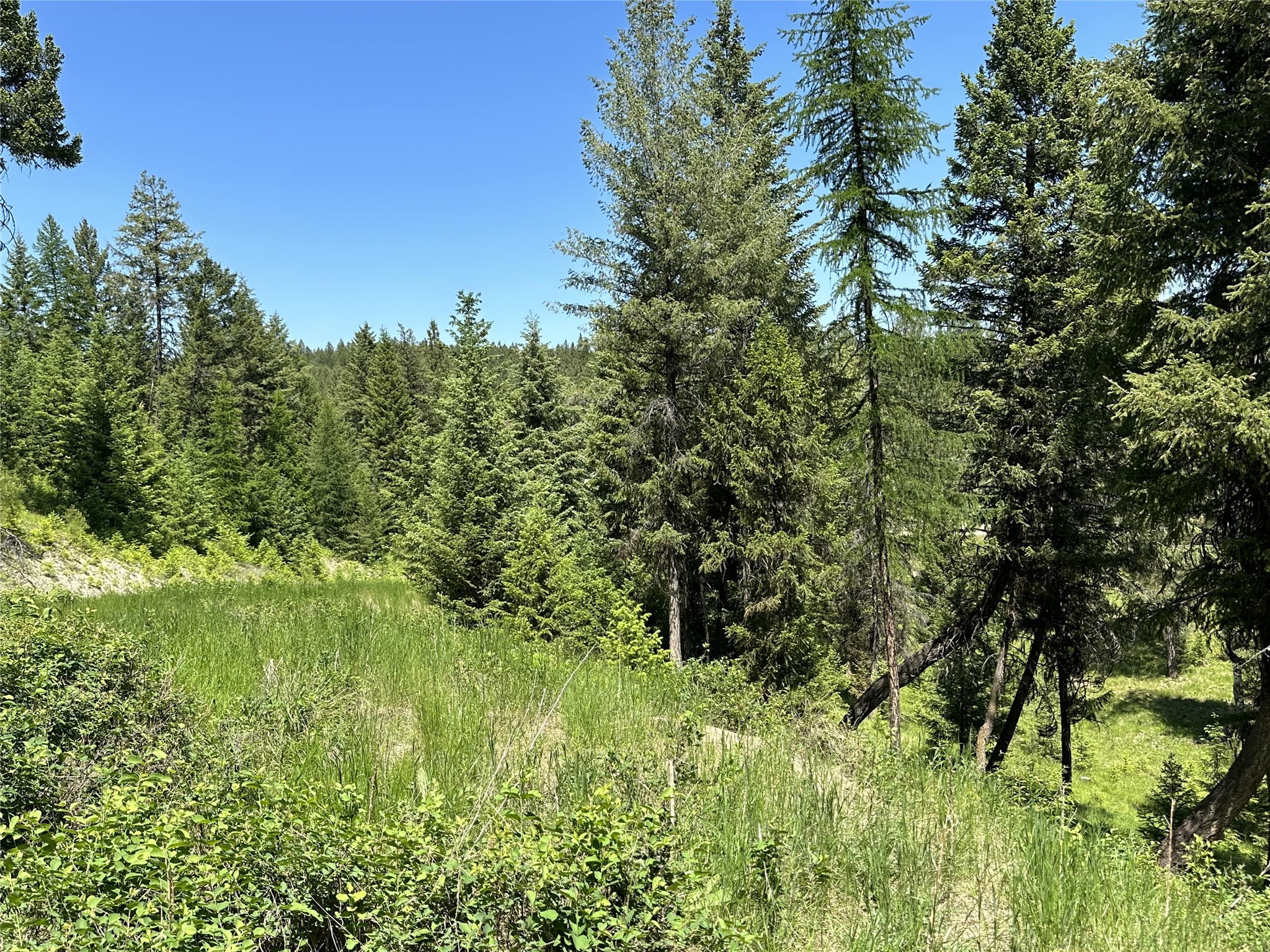 Lot 30 Hillandale Trail