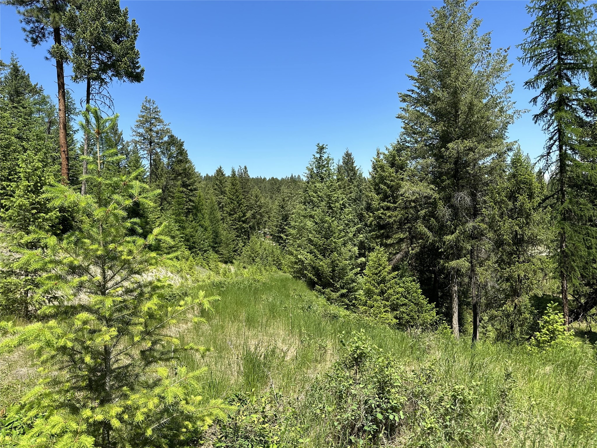 Lot 30 Hillandale Trail