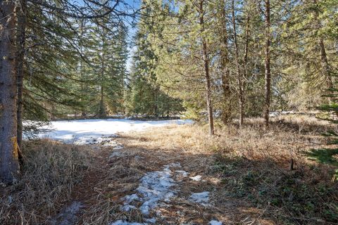 Tiny photo for 757 Lodgepole Road, Whitefish, MT 59937 (MLS # 30065974)