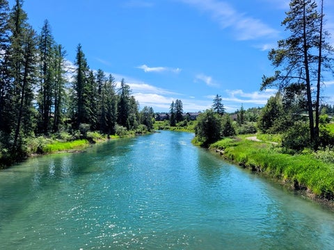 Tiny photo for 157 Arielle Way, Whitefish, MT 59937 (MLS # 30072554)