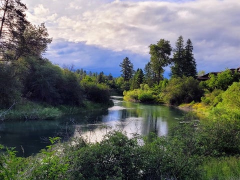 Tiny photo for 157 Arielle Way, Whitefish, MT 59937 (MLS # 30072554)
