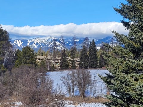 Tiny photo for 157 Arielle Way, Whitefish, MT 59937 (MLS # 30072554)