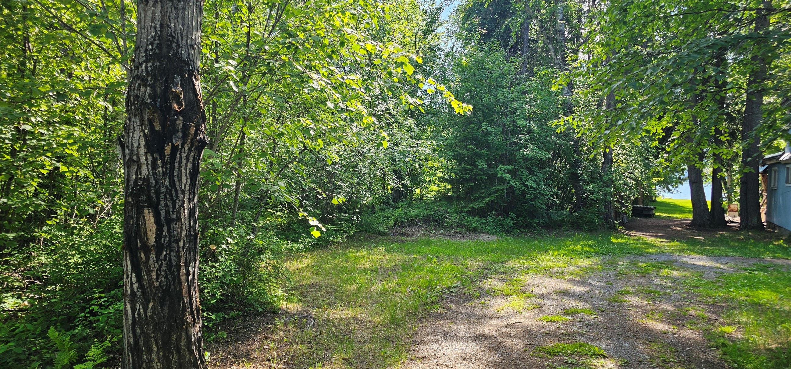 Bigfork, Montana 59911, United States, 4 Bedrooms Bedrooms, ,2 BathroomsBathrooms,Residential,Pending,154381