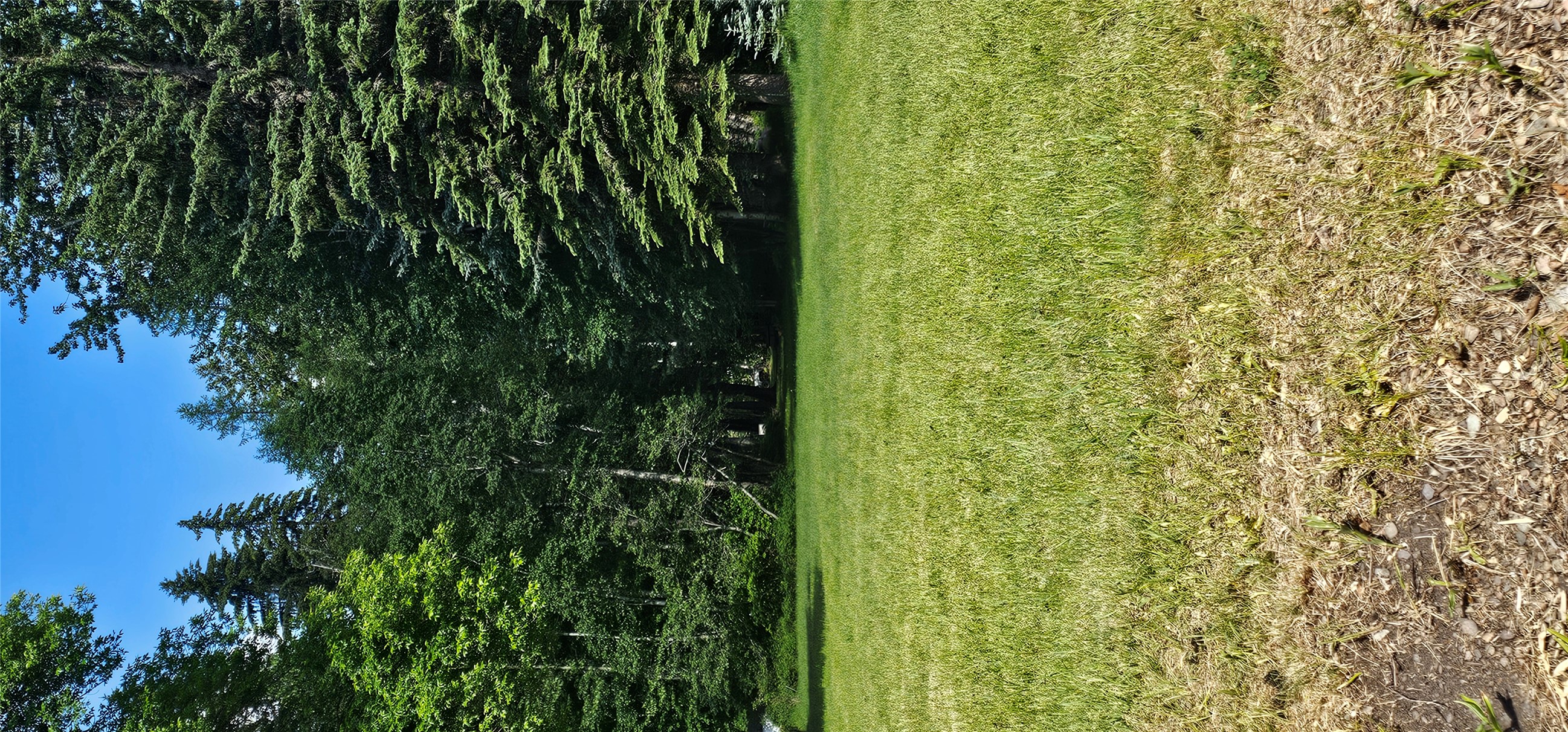 Bigfork, Montana 59911, United States, 4 Bedrooms Bedrooms, ,2 BathroomsBathrooms,Residential,Pending,154381