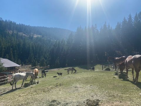 Tiny photo for 1115 Rogers Lake Road, Kila, MT 59920 (MLS # 30069498)