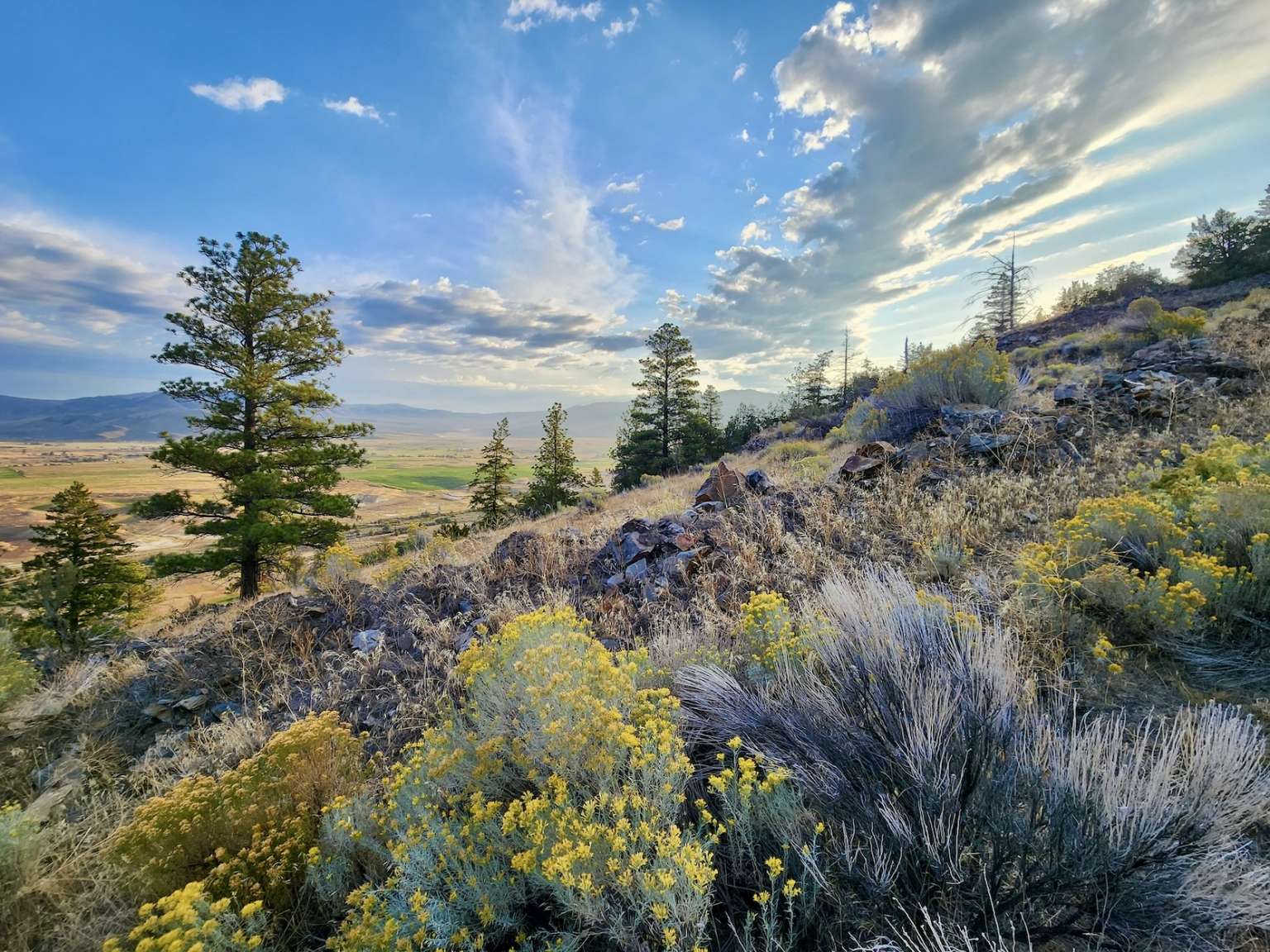 59000 Little Bitterroot Road