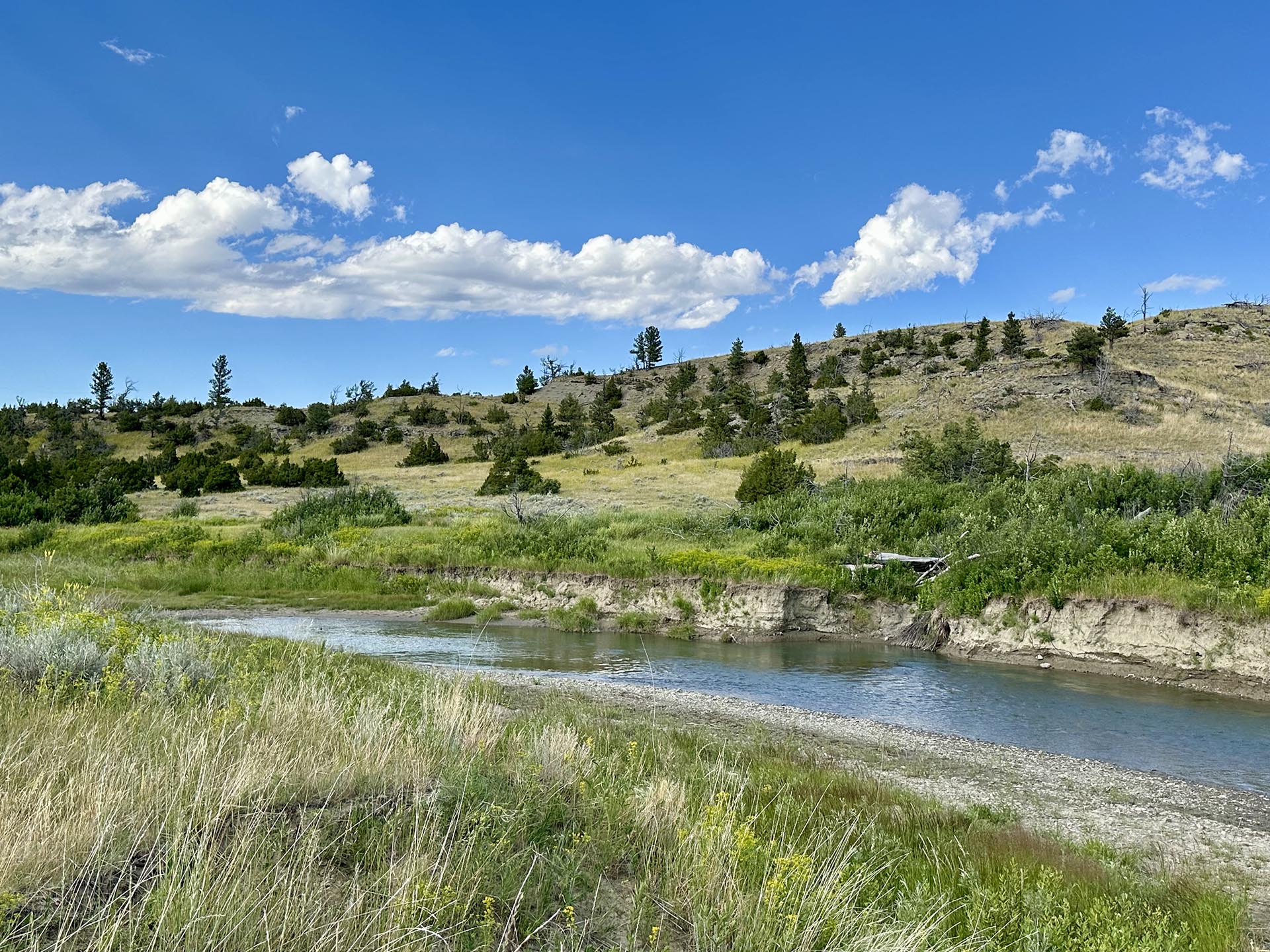 1058 Lower Sweet Grass Road