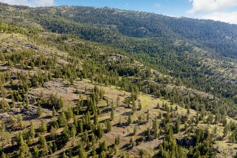 Tiny photo for Nhn Idaho Hill Road, Marion, MT 59925 (MLS # 30071467)