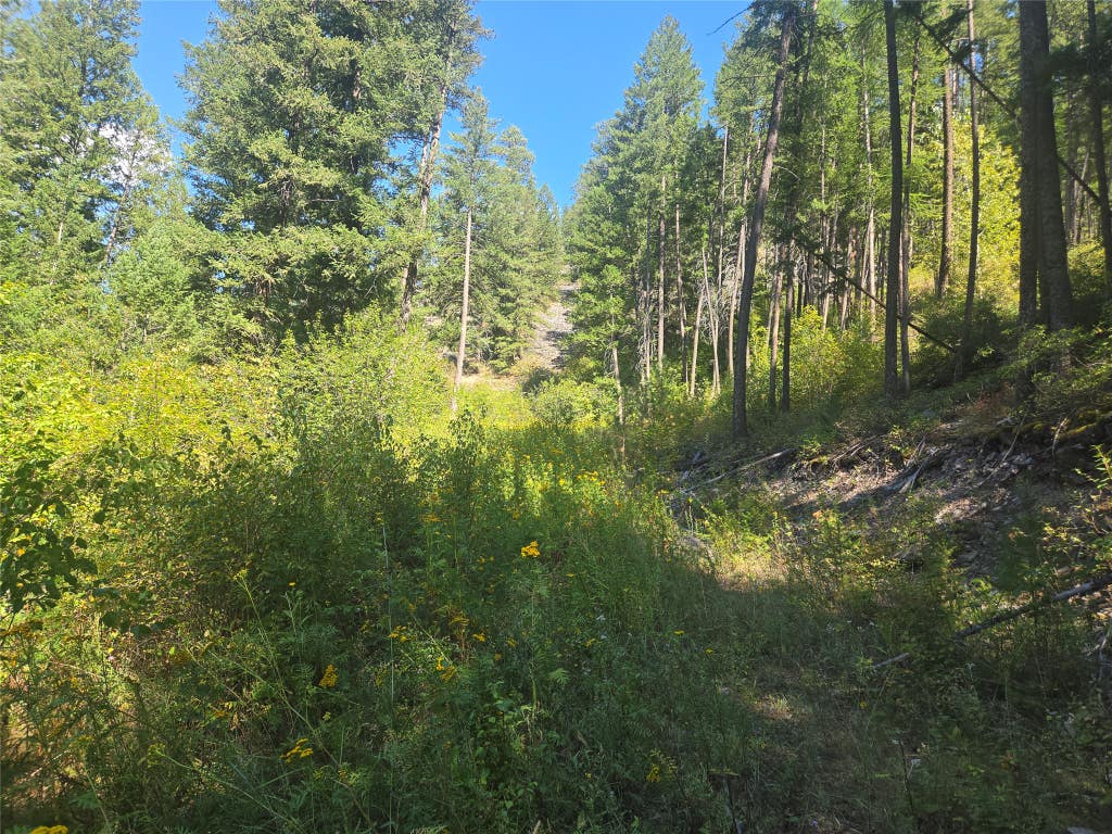 Photo of Hwy 200 E Highway 200, Bonner, MT 59823 (MLS # 30077379)