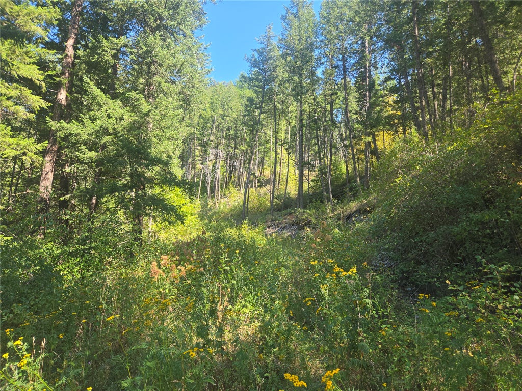 Photo of Hwy 200 E Highway 200, Bonner, MT 59823 (MLS # 30077379)