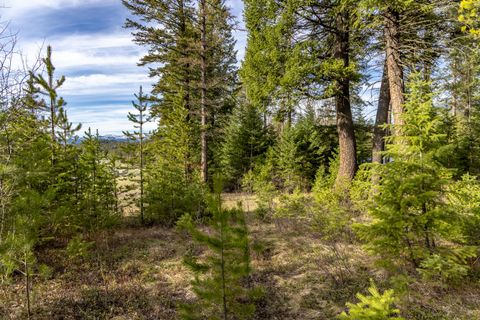 Tiny photo for 420 Old Hwy 2 E, Martin City, MT 59926 (MLS # 30069219)