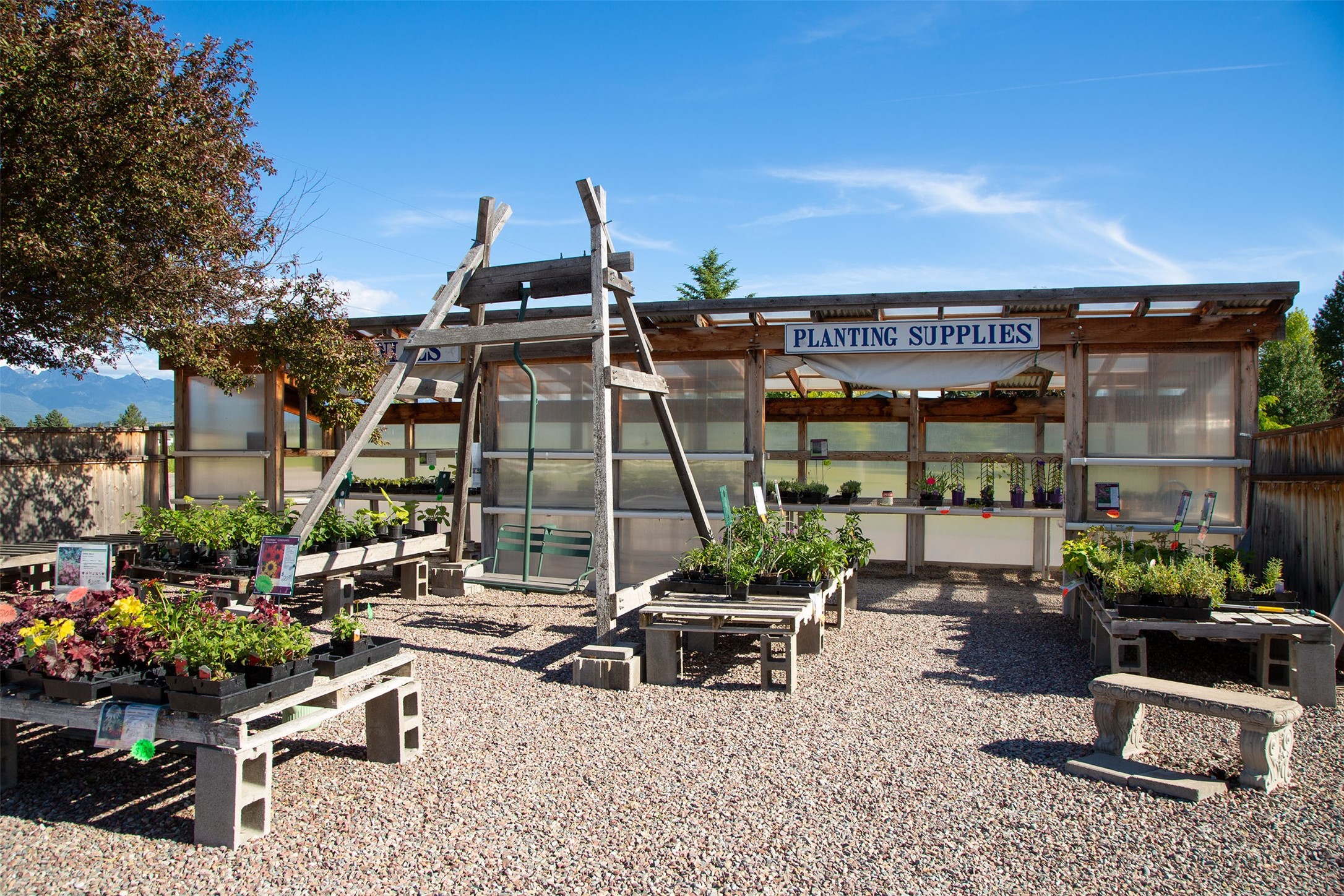 Polson, Montana 59860, United States, ,Commercial,Active,53842