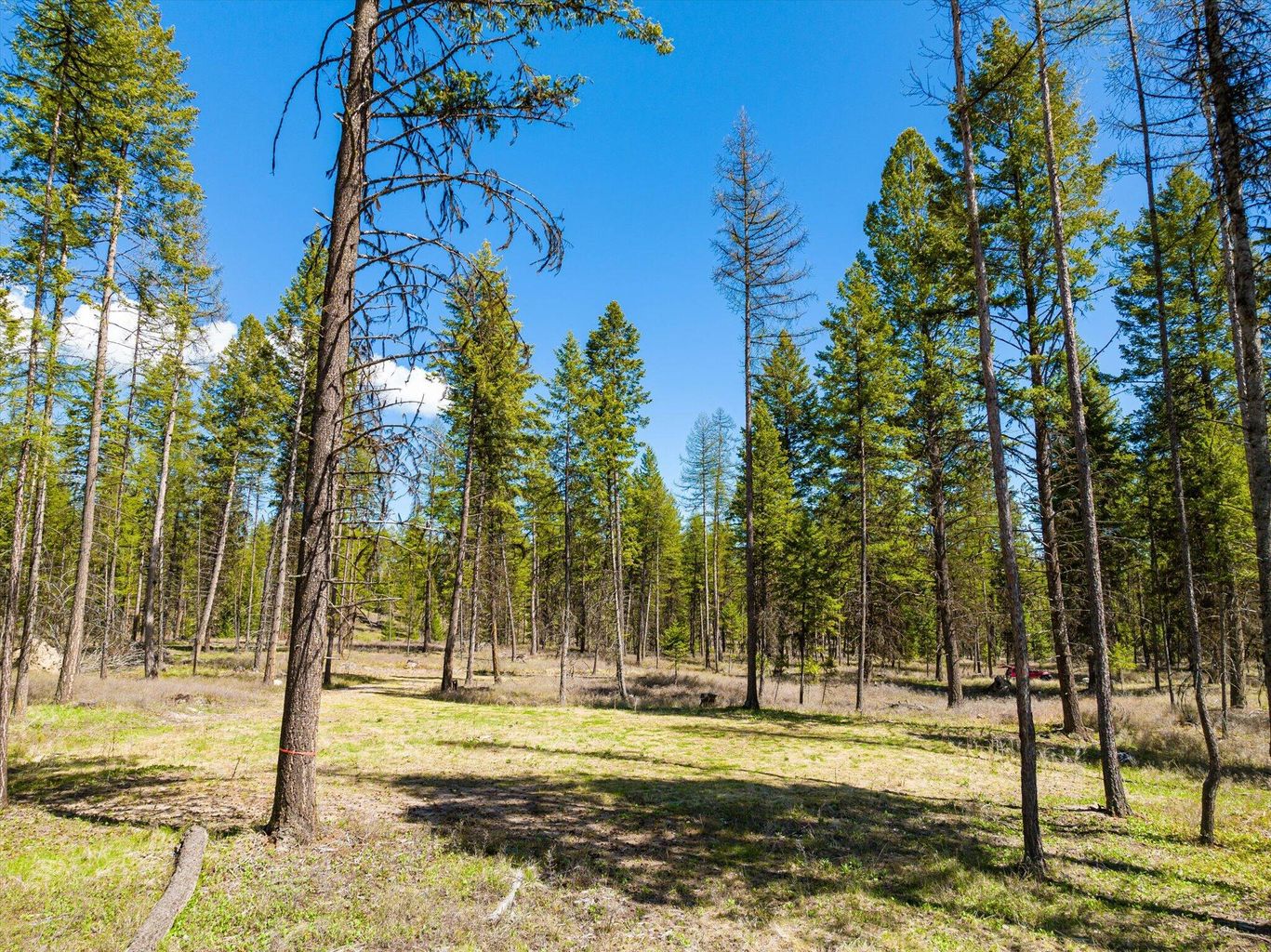 Tract B-2 Camp Tuffit Road