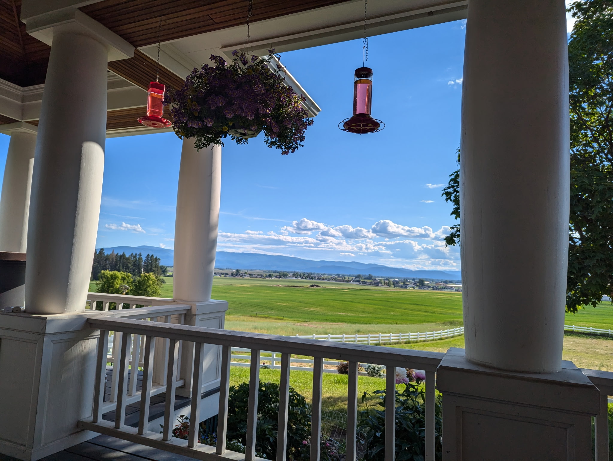 216 Moonlight Trail