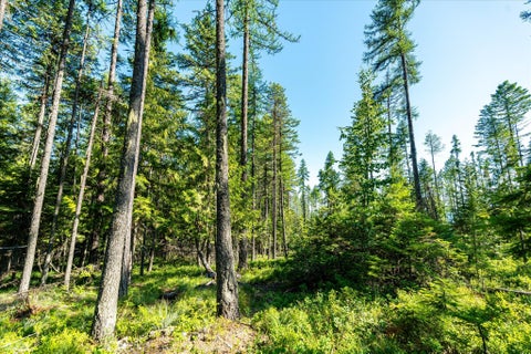 Tiny photo for NHN Big Mountain Road, Whitefish, MT 59937 (MLS # 30076023)