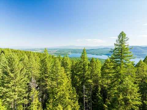 Tiny photo for NHN Big Mountain Road, Whitefish, MT 59937 (MLS # 30076023)