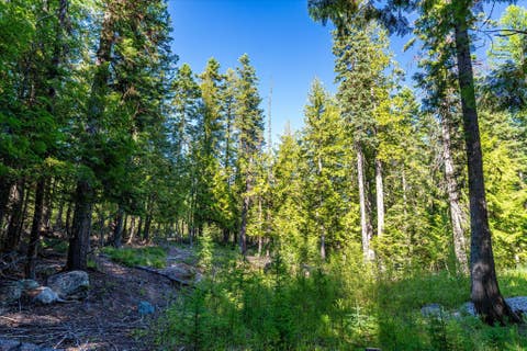 Tiny photo for NHN Big Mountain Road, Whitefish, MT 59937 (MLS # 30076023)