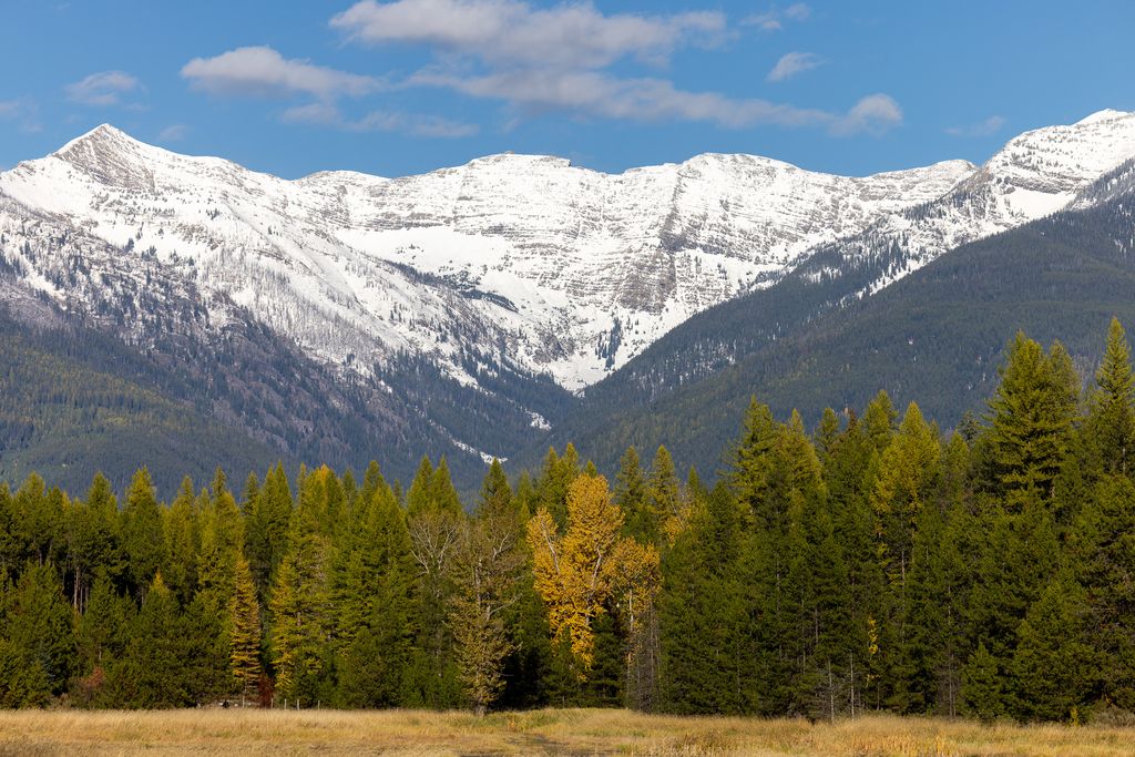 Photo of 699 Glacier-Elk Creek Road, Condon, MT 59826 (MLS # 30066320)