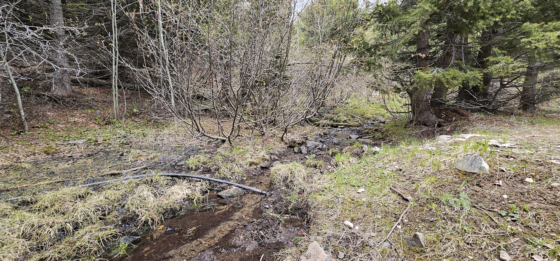 13 Tract, Garnet Range