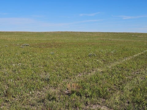 Tiny photo for TBD Old Winnett Road, Winnett, MT 59087 (MLS # 30076782)