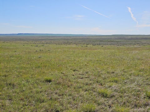 Tiny photo for TBD Old Winnett Road, Winnett, MT 59087 (MLS # 30076782)