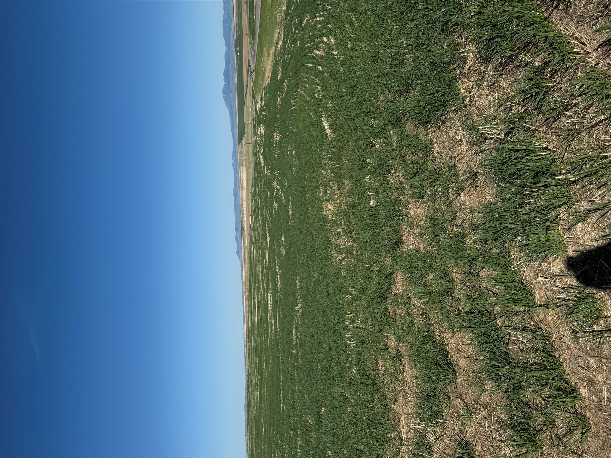 TBD US Highway 89