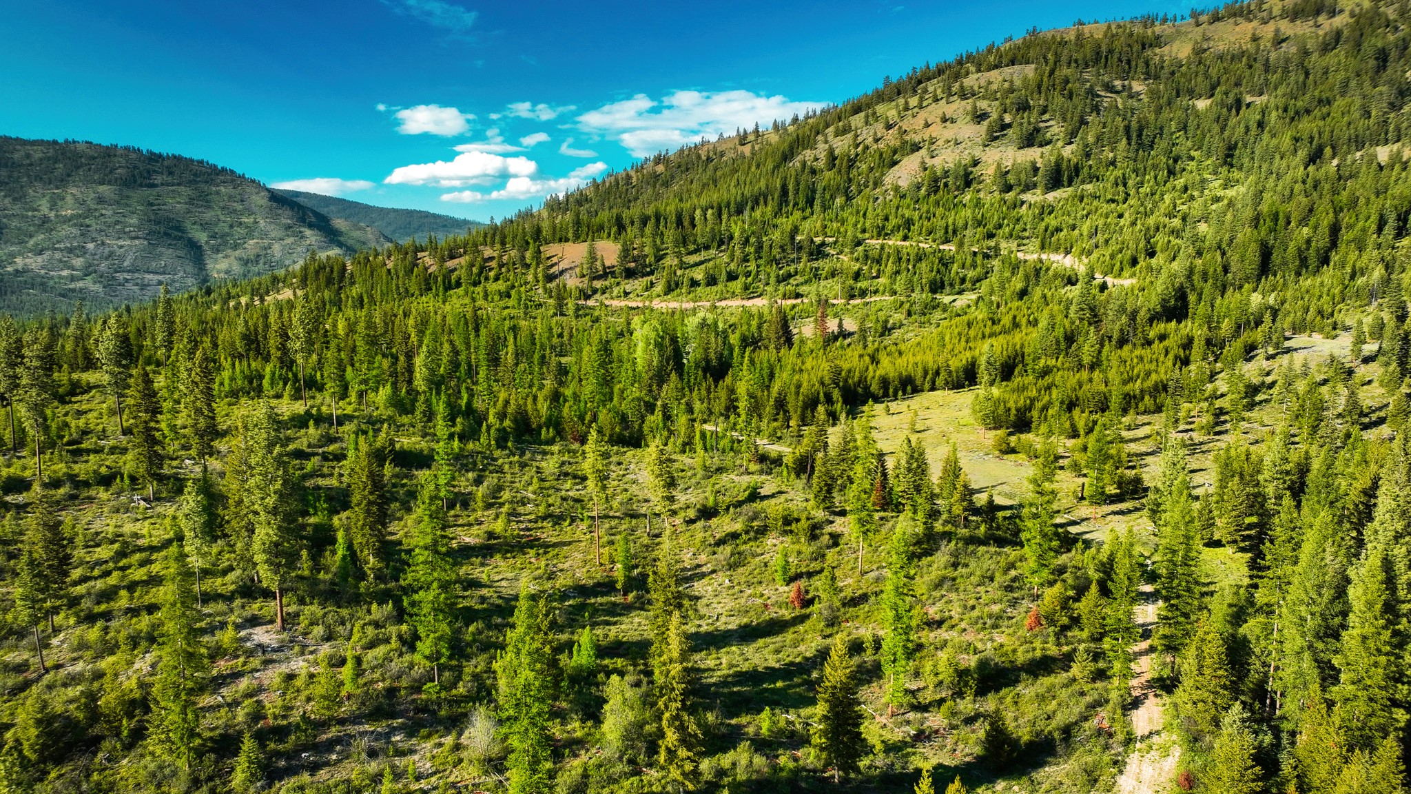 Nhn Houghton Creek Road