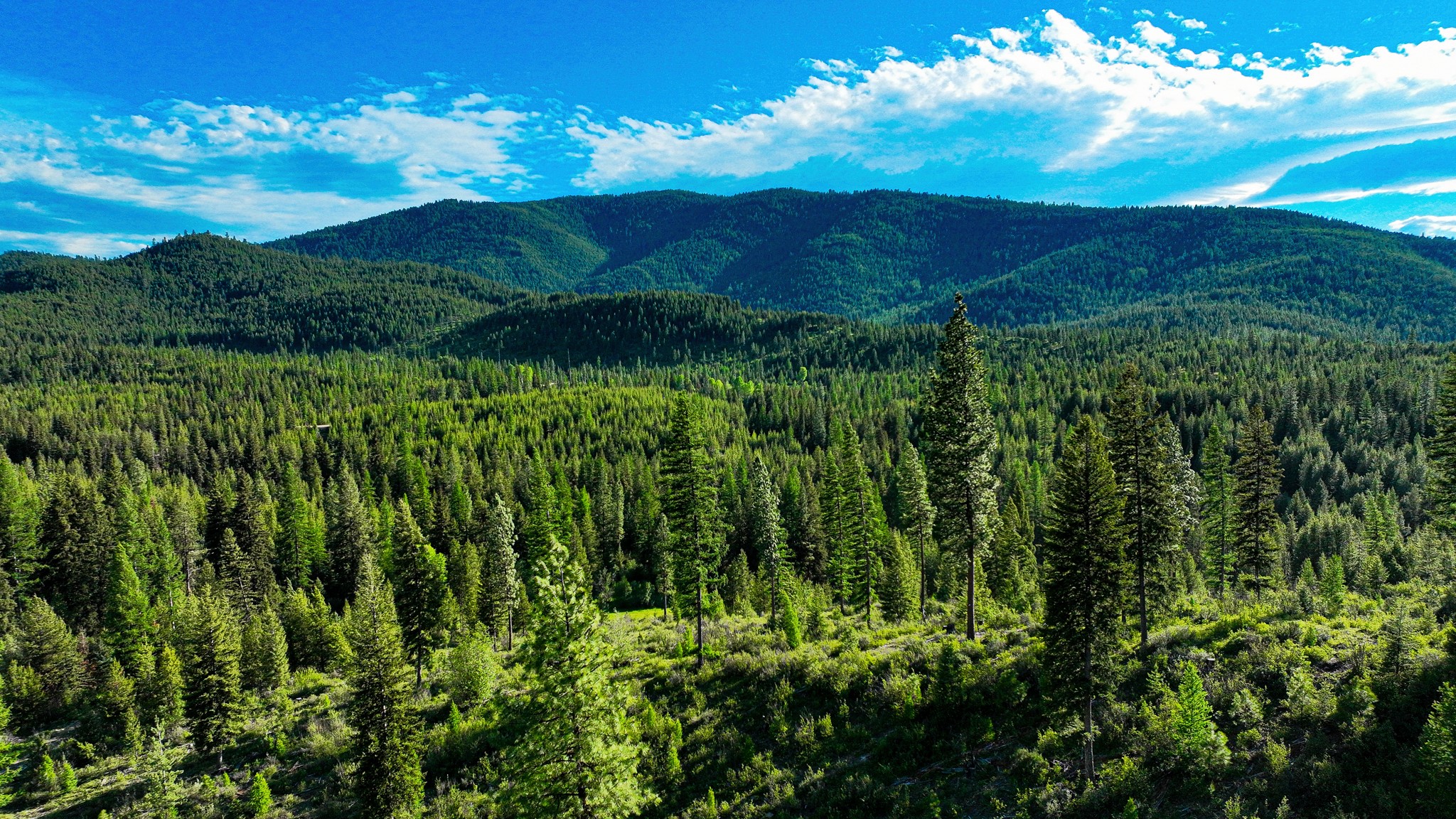 Nhn Houghton Creek Road