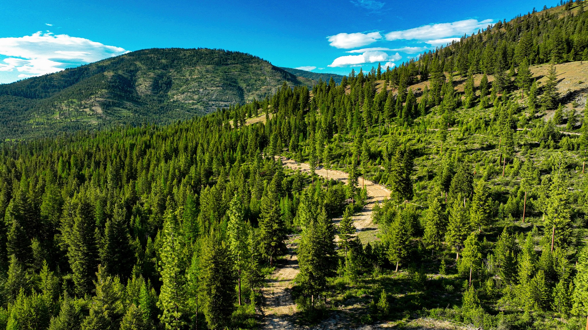 Nhn Houghton Creek Road