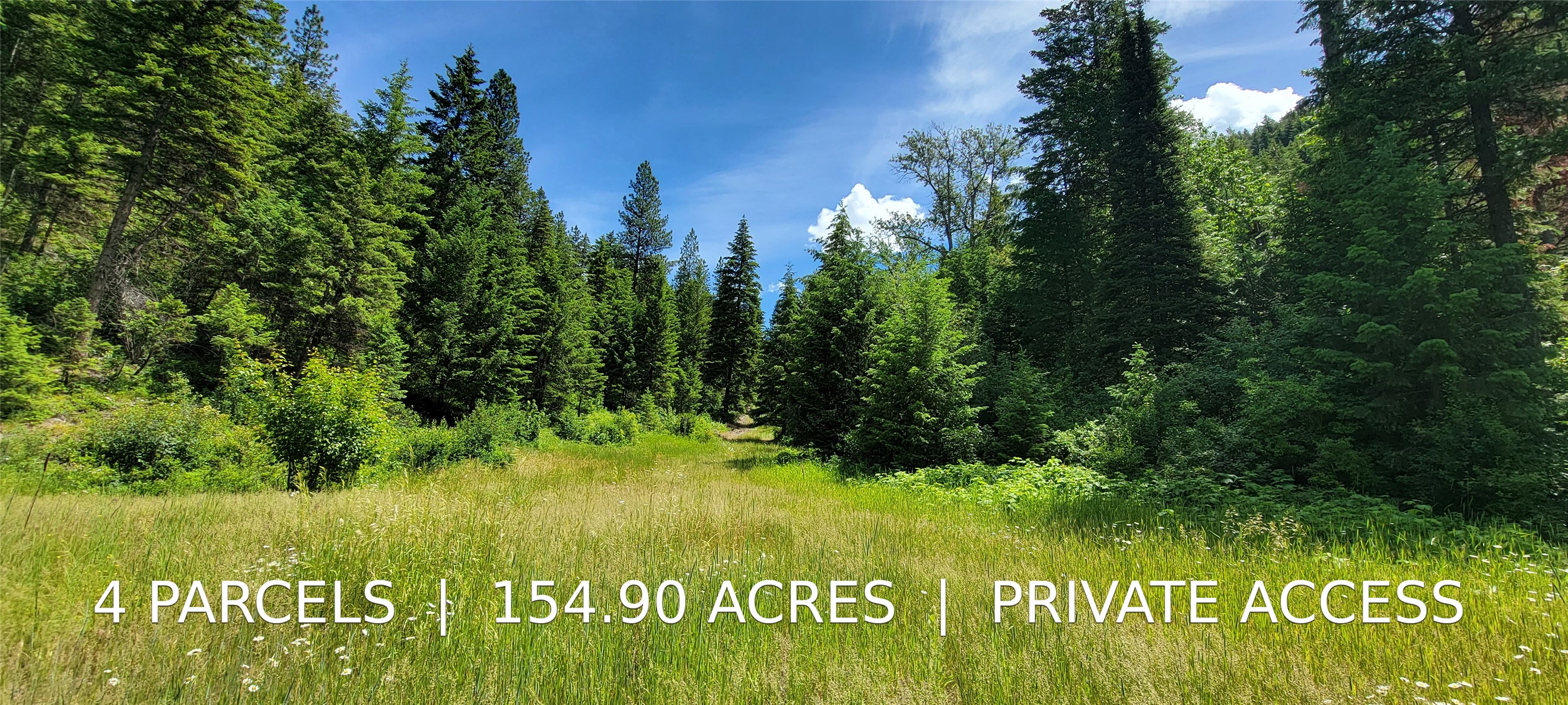 Nhn Swede Mountain Road