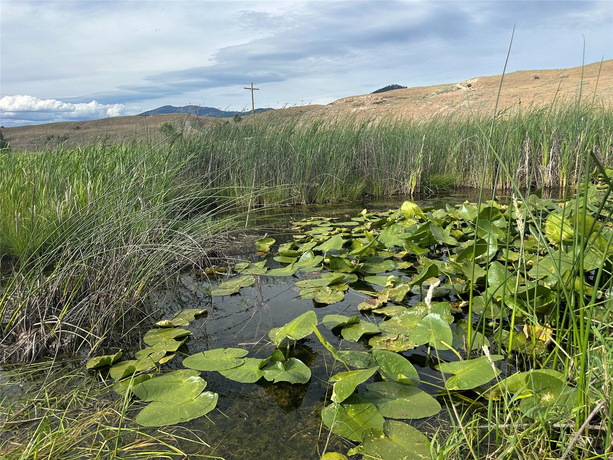 NHN Lower Lynch Creek Road