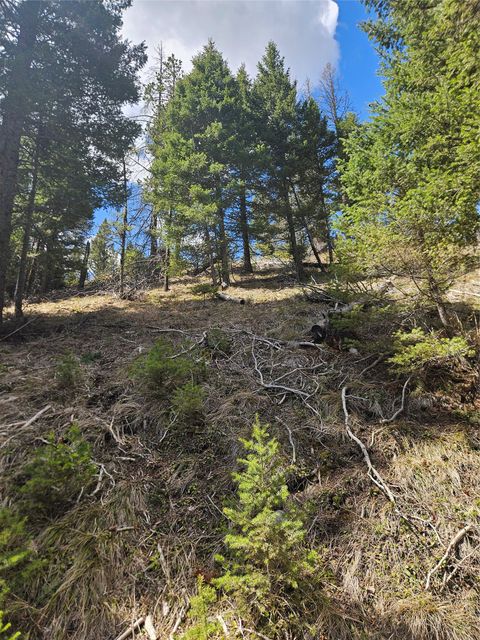 Tiny photo for 2220 Hogum Creek Road, Lincoln, MT 59639 (MLS # 30070172)